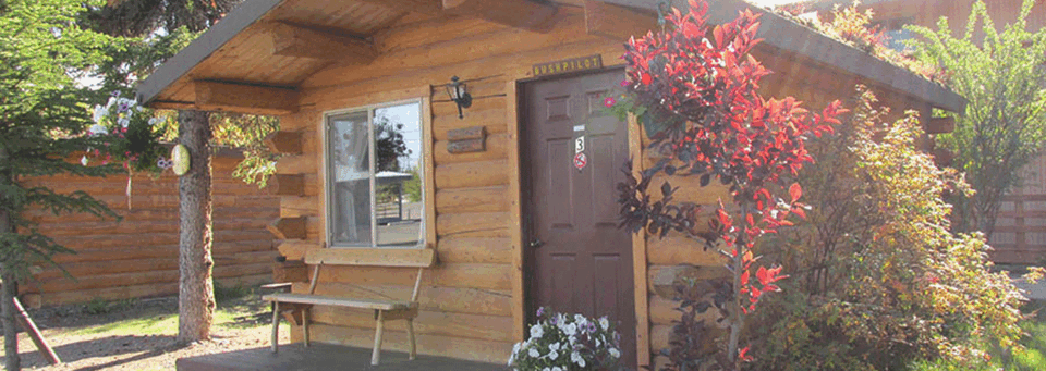 Hütte im Burn Paw & Cabins Outback Alaska