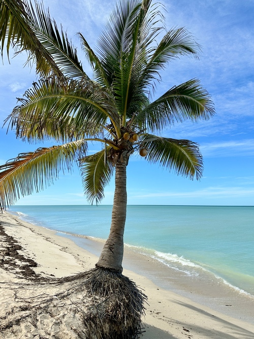 Küstenstadt Campeche