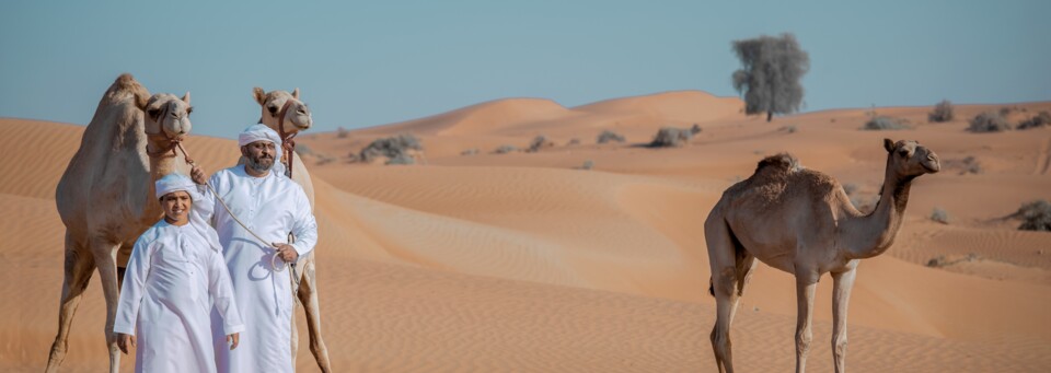 Wüste in Ras Al-Khaimah (VAE)