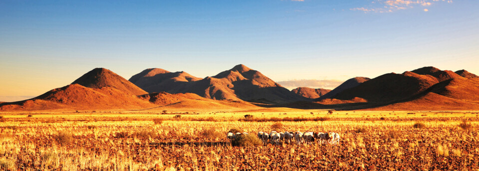 Kalahari Wüste, Namibia