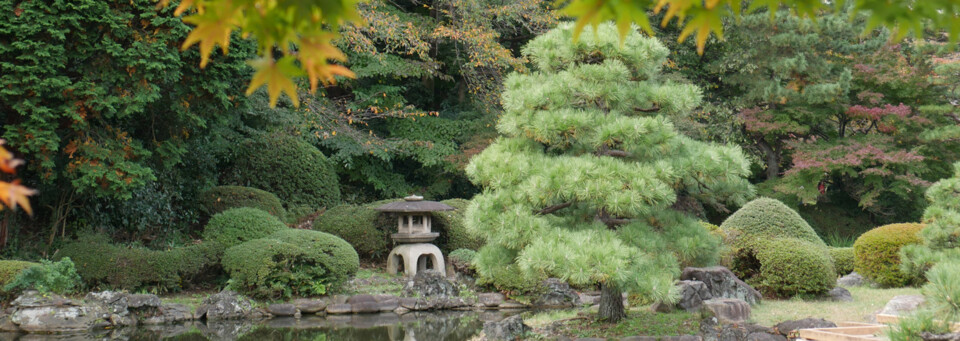 Reisebericht Japan - Shinjuku Gyoen in Tokyo