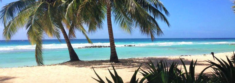 Strand Sugar Bay Barbados Bridgetown