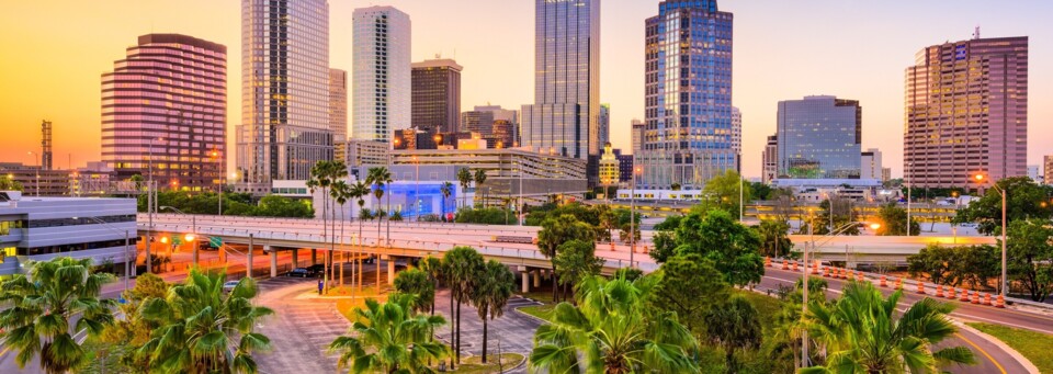 Tampa Skyline