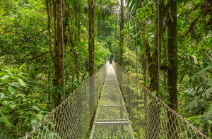 Monteverde Nationalpark