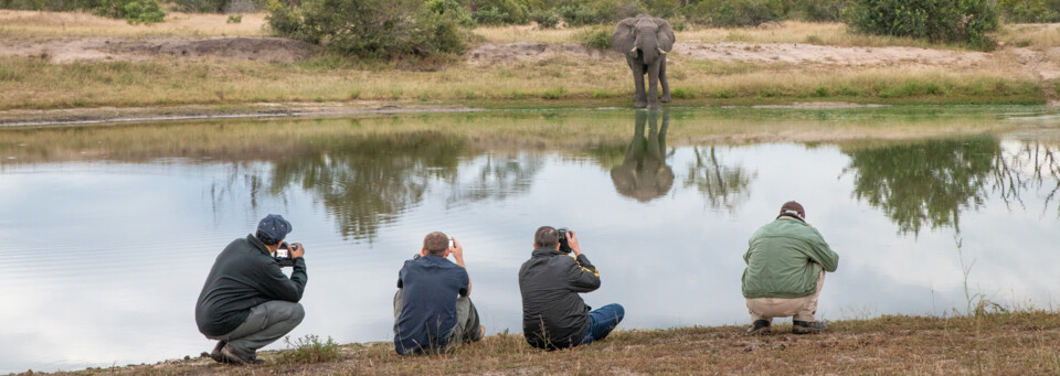 Fotografieren eines Elefanten am Wasserloch - Sabi Sands Game Reserve