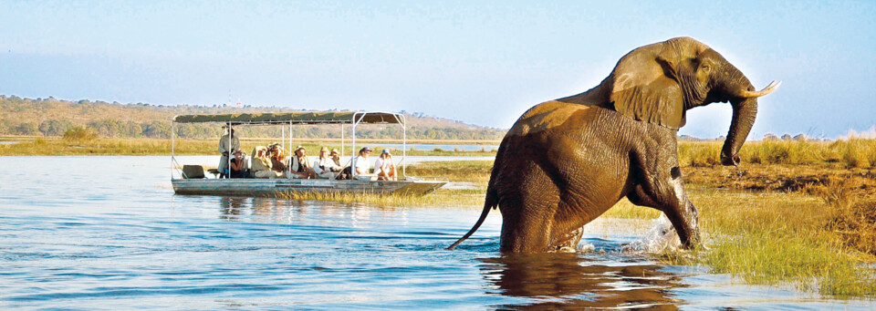 Bootsfahrt Chobe Nationalpark