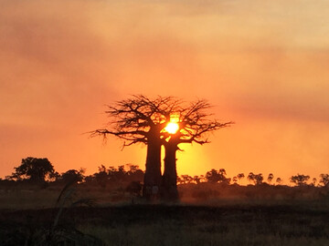 Sonnenuntergang im Okavango Delta - Botswana Reisebericht