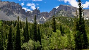 Great Basin Nationalpark - Wheeler Peak