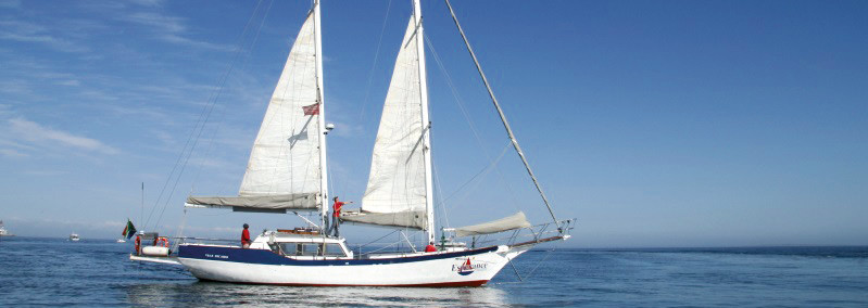 Segelschiff