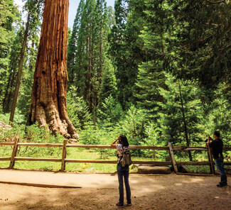 © Visit California/Myles McGuinness © Visit California/Myles McGuinness