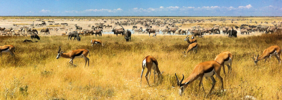 Etosha Nationalpark