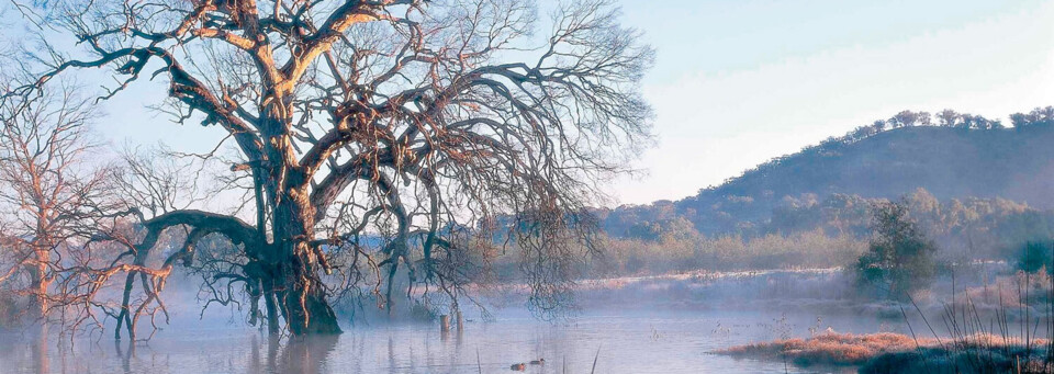 The Murray River bei Albury Wetlands