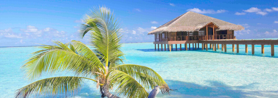 Medhufushi Island Resort - Spa