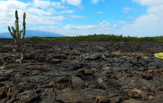 Galápagos Reisebericht - Vulkanische Landschaft Insel Fernandina