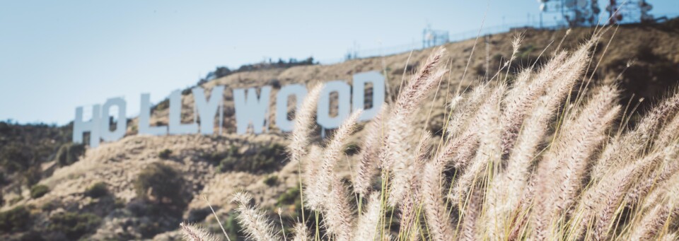 Hollywood Hills in Los Angeles