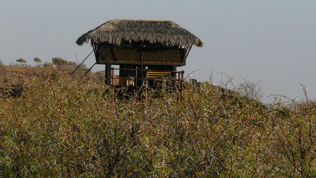 Tuli Safari Lodge am Limpopo