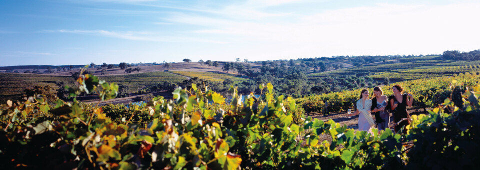 Barossa Eden Valley Weinberge South Australia