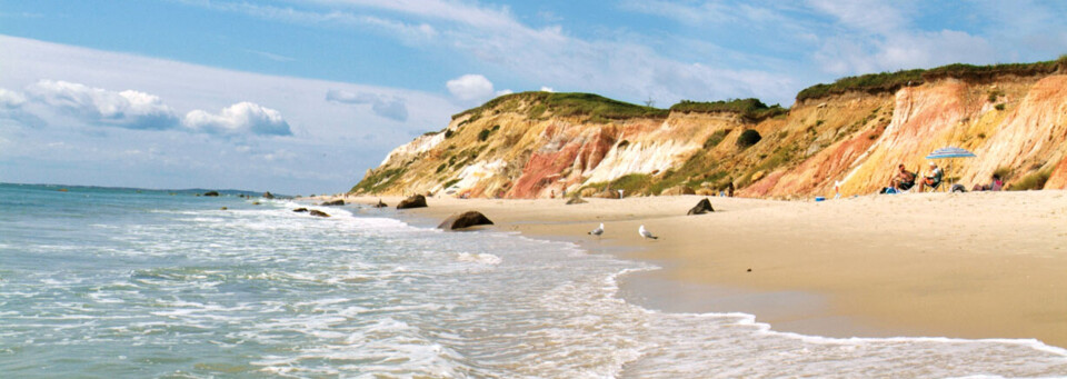 Martha's Vineyard Guy Head Küste