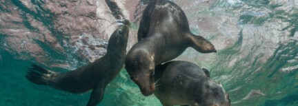 Abenteuer Baja California Sur