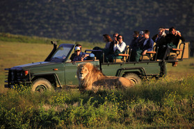 Pirschfahrt von der Garden Route Game Lodge in Südafrika