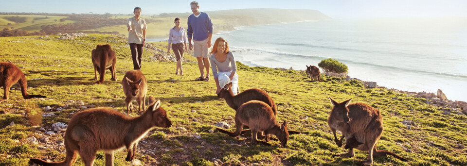 Kangaroo Island Familie