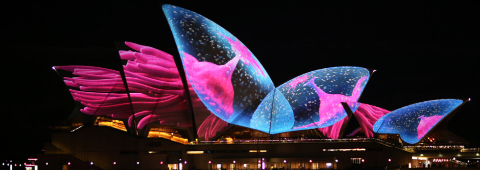 Sydney Opera House während des Vivid Festivals