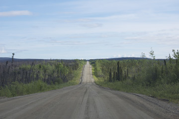 Yukon Reisebericht: Taylor Highway - Von Tok nach Dawson City