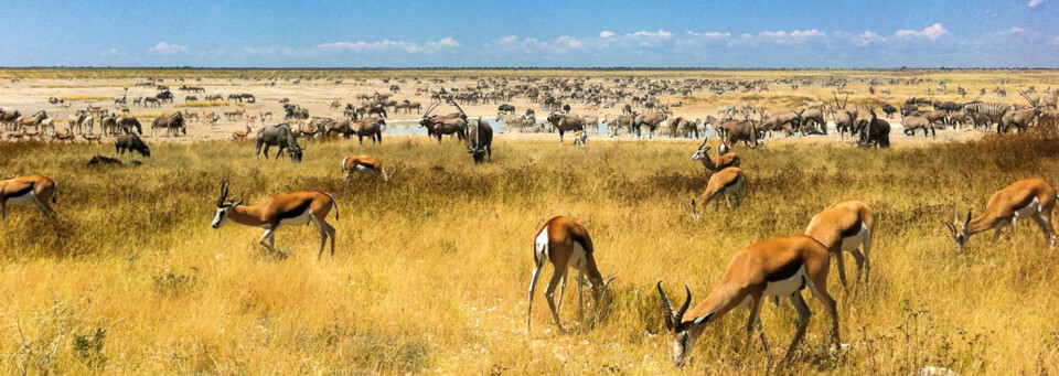 Etosha Nationalpark