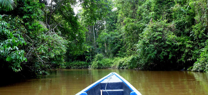 Ecuador Reisebericht - Fluss im Naturreservat Cuyabeno