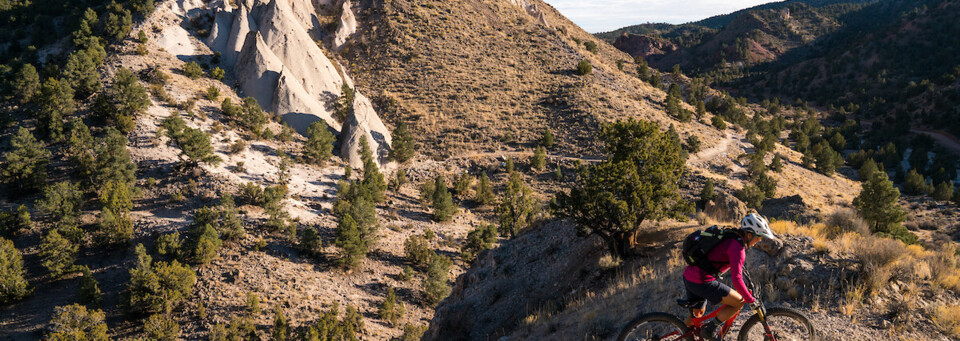 Barnes Canyon Biking Tour