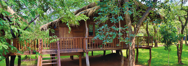 Tree-Top-Cottage des The Other Corner in Habarana