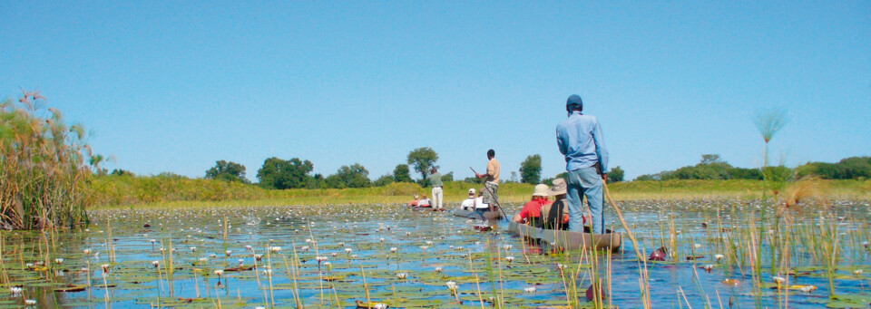 Okavango Delta Botswana