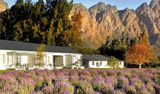 Lavender Farm Guest House