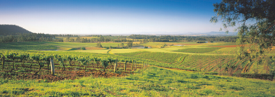 Hunter Valley Panorama