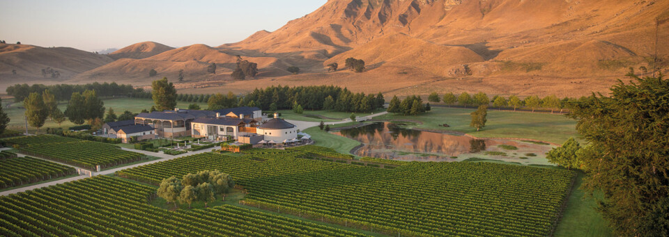 Hawke's Bay Weinreben