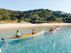 Kajak fahren Bay of Islands Neuseeland