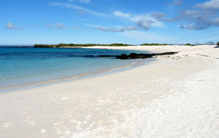 Galápagos Reisebericht - Bachas Beach