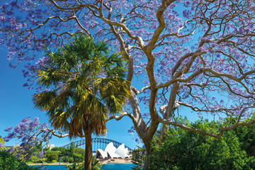 Australien Reisebericht: Royal Botanic Garden in Sydney