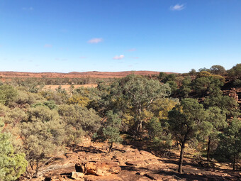 Australien Reisebericht - Mutawintji Nationalpark