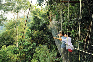 Taman Negara Nationalpark