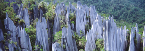 Mulu Nationalpark