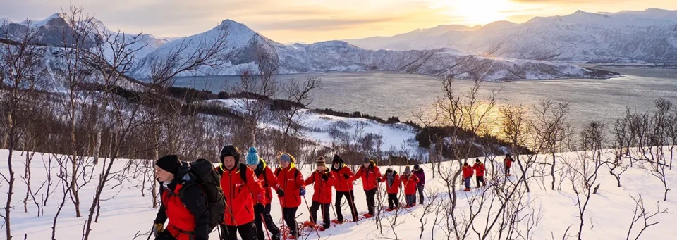 Senja, Norwegen 