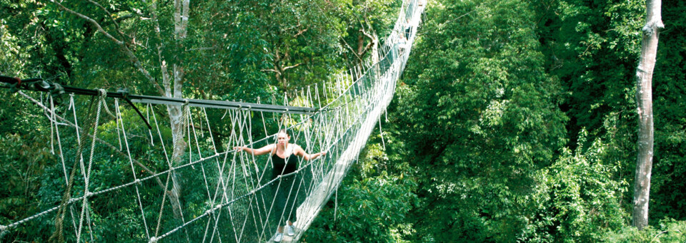 Taman Negara Canopy Walk