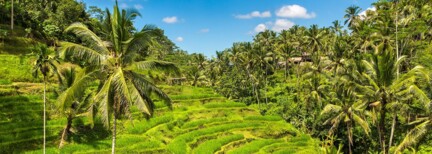 Luxuriöse Entspannung auf Bali