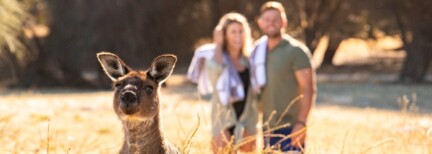 Sea Dragon Lodge - Kangaroo Island