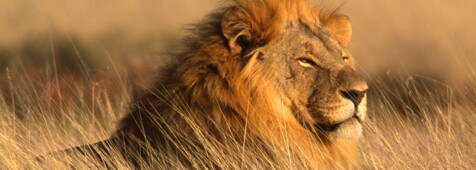 Etosha Nationalpark © EcoPic 