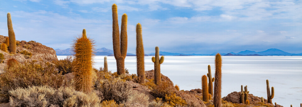 Salar de Uyuni