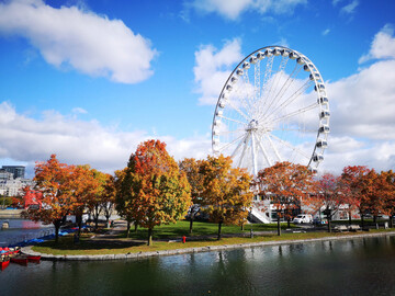 Montréal im Indian Summer - Ostkanada Reisebericht