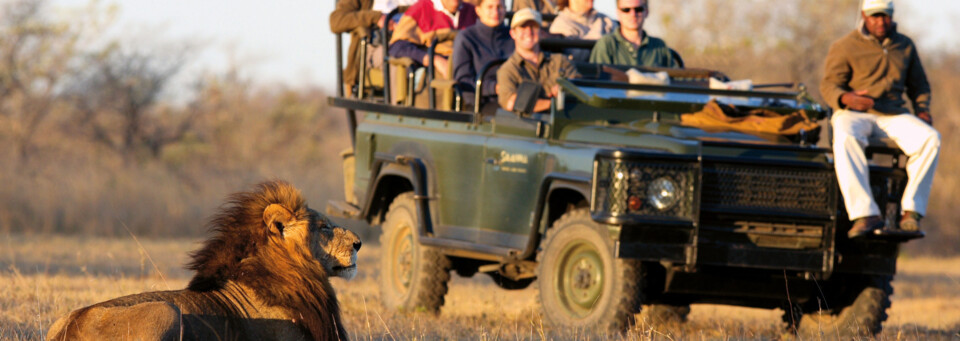 Pirschfahrt Savanna Private Game Reserve Sabi Sands Game Reserve