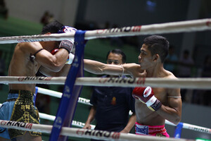 Muay Thai Boxen